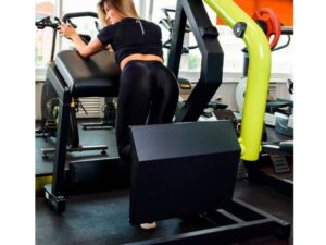 Rear Kick  / Patada De Gluteo