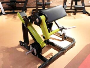 Biceps Curl /  Flexion De Brazo