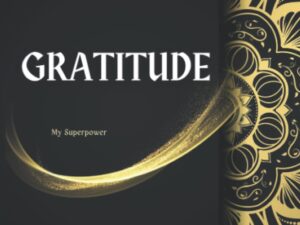 Gratitude: Journal Daily Gratitude